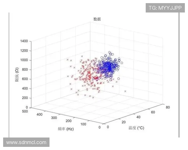 深入探讨上海排球队耐力表现的数据分析与训练策略研究