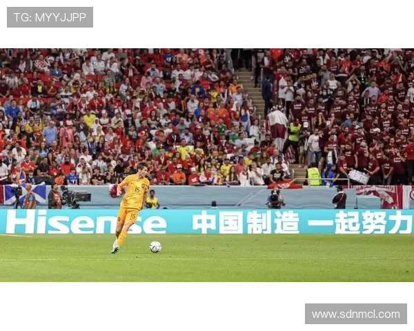 重庆羽毛球队在世界杯预选赛中的奋斗与突破之路全景回顾