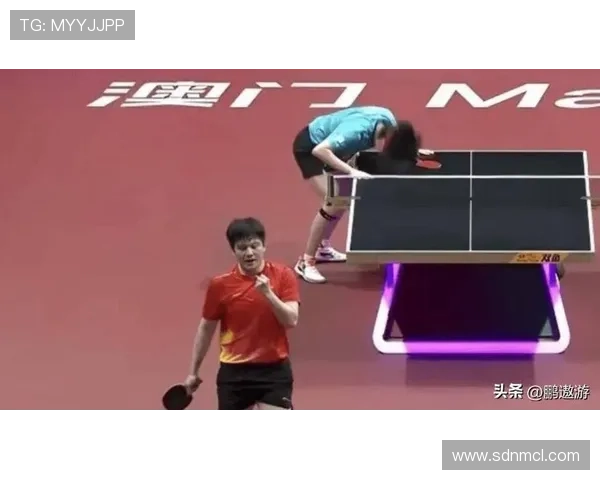 北京乒乓球队在锦标赛中的个人能力表现分析与点评